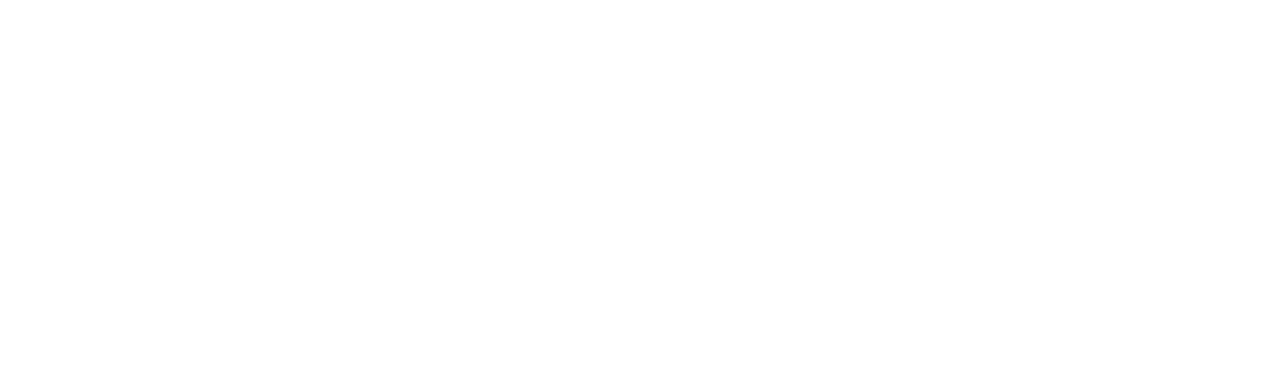 lil hauz logo